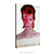 Poster David Bowie Aladdin Sane na internet