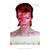 Poster David Bowie Aladdin Sane - QueroPosters.com