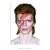 Poster David Bowie - QueroPosters.com