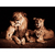 Quadro Decorativo Família Leões com 2 filhotes Sépia - comprar online