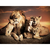 Quadro Decorativo Família Leões com 3 filhotes - comprar online