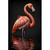 Quadro Decorativo Flamingo - comprar online