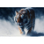 Quadro Decorativo Tigre-Siberiano Caçador - comprar online