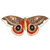 Quadro Butterfly Smile - comprar online