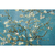 Quadro Pintura Amendoeira em Flor Obra do Artista Vincent van Gogh - comprar online