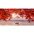 Quadro Folhas Vermelhas De Outono Barco Montanha Fuji - comprar online