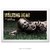 Poster The Walking Dead - comprar online