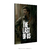 Poster The Last of Us - Serie de Tv na internet