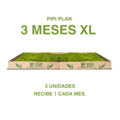 Pipiplan XL 3 meses