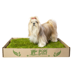 Pipigrass Estandar - comprar online