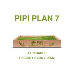Pipiplan 7 estándar