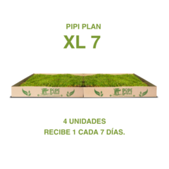 Pipiplan XL 7