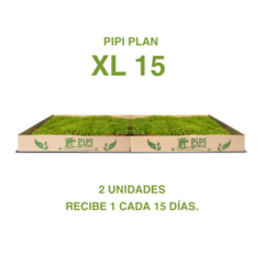 Pipiplan XL 15