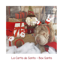 Box Santa - 2 hermanos