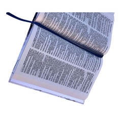 BÍBLIA RUJA O LEÃO - ACF - Letra Normal - Capa Dura na internet