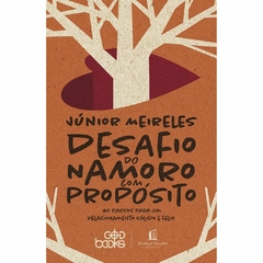 DESAFIO DO NAMORO COM PROPOSITO - Junior Meireles na internet