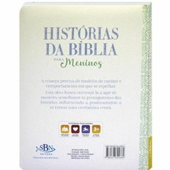 HISTÓRIAS DA BÍBLIA PARA MENINOS na internet