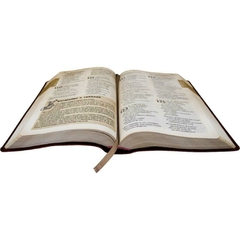 NTLH065BDA - Bíblia das Descobertas para Adolescentes Rosa na internet