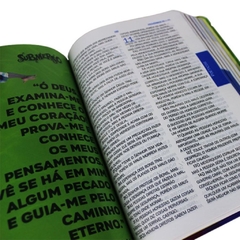 NTLH63LB-MO BÍBLIA DE ESTUDO KIDS - O Mundo de Otávio na internet