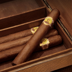 Bolivar Petit Coronas - Unidad