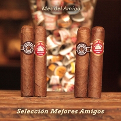 Selección #5 - "Mejores Amigos".