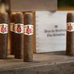 Hoyo de Monterrey Petit Robusto - Unidad