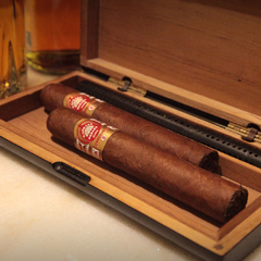 H. Upmann Connossieur B - Unidad - comprar online