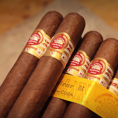 H. Upmann Connossieur B - Unidad