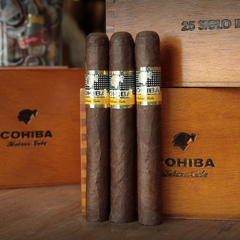 Cohiba Siglo II - X 25 Unidades caja cerrada