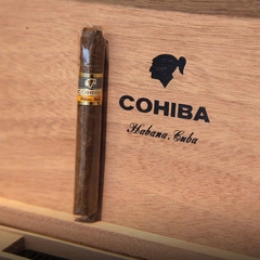 Cohiba Shorts Humidor Colección x 50 unidades - tienda online