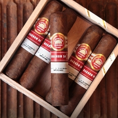 H. Upmann Magnum 54 - X 25 unidades caja cerrada