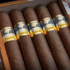 Cohiba Siglo VI - X 25 Unidades caja cerrada