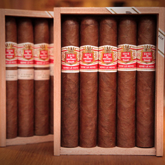 Hoyo de Monterrey Serie Le Hoyo de San Juan x 25 unidades caja cerrada