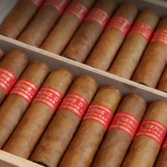 Partagás Serie D N°6 - X 20 unidades caja cerrada - comprar online