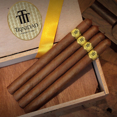 Trinidad Fundadores - X 24 Unidades caja cerrada