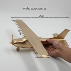 Avião Cesnna I Escultura na internet