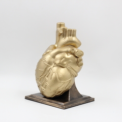 Coração Humano Escultura - comprar online