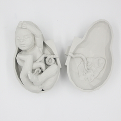 Vida I Bebê e Placenta I Escultura - loja online