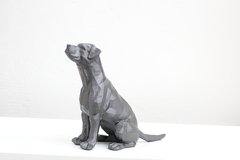 American Stardforshire Terrier I Escultura na internet