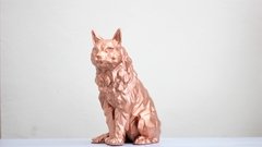 Gatinho I Maine Coon I Mod. 04 - comprar online