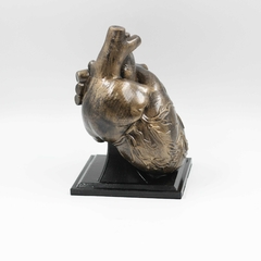 Coração Humano Escultura