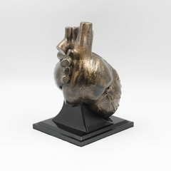 Coração Humano Escultura - comprar online