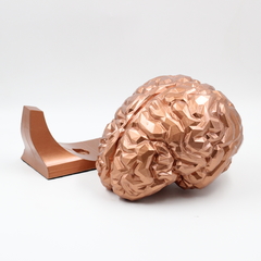 Imagem do Cérebro Escultura