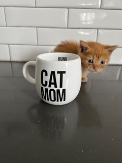 Cat mom cheap mug