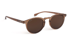 LENTES DE SOL RUSTY MISTY BROWN/UB18 POL