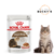 royal Canin Ageing 12+ - Pouch 85 gr