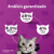 Alimento Whiskas Gato Adulto Sabor Carne - comprar online