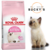 ROYAL CANIN KITTEN 36 - HASTA LOS 12 MESES