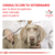 Royal Canin Dog Hepatic - Pet Shop Bucky's