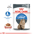 ROYAL CANIN POUCH CAT ULTRA LIGHT - Pet Shop Bucky's